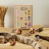 La Chaise Longue Jeux-COFFRET DE 6 CASSE TETES DEFI DES DIEUX