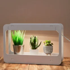 La Chaise Longue Luminaire-LAMPE POTAGER D'INTERIEUR