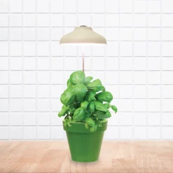 La Chaise Longue Luminaire-LAMPE POUR PLANTE USB