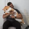 La Chaise Longue Cocoon-PELUCHE XXL CHAT ROUX