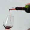 La Chaise Longue Vin & Champagne-VERSEUR RAFRAICHISSEUR VIN